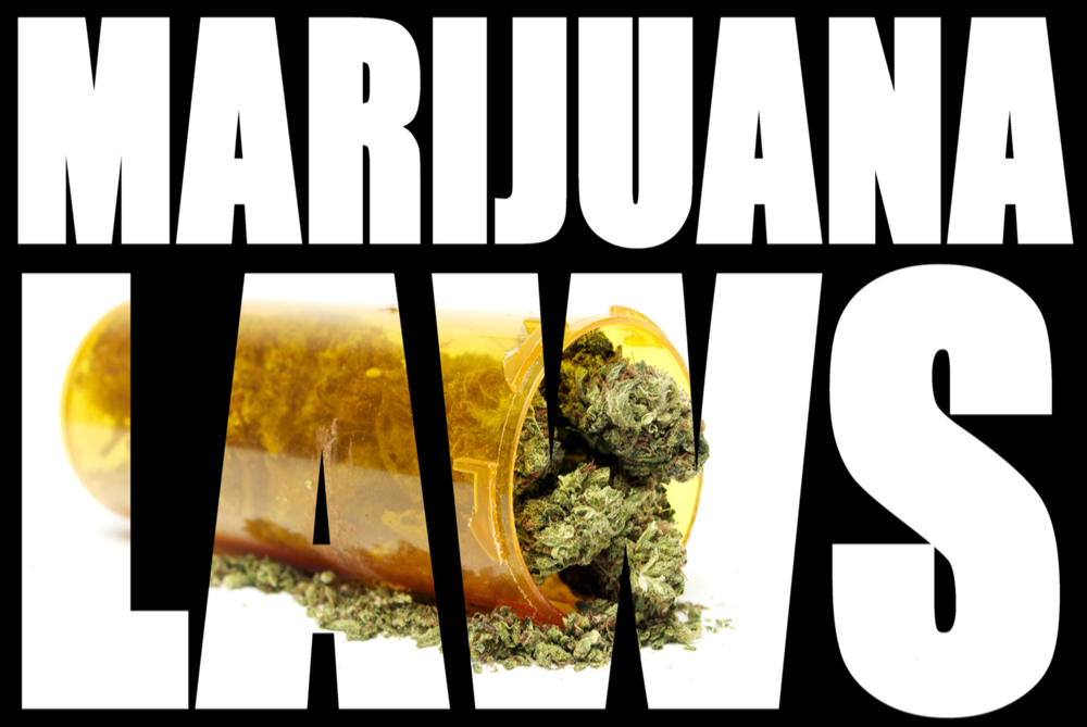 California Marijuana Laws & Employment Bay Area Employment Lawyers